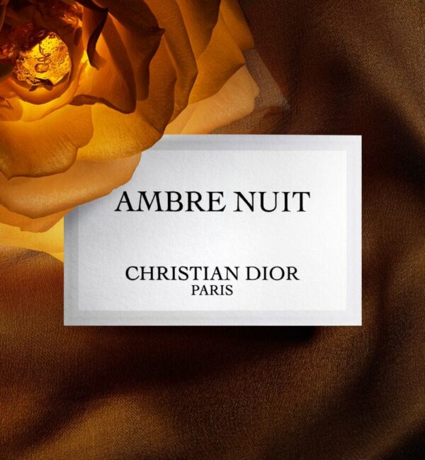 Ambre Nuit - Image 3