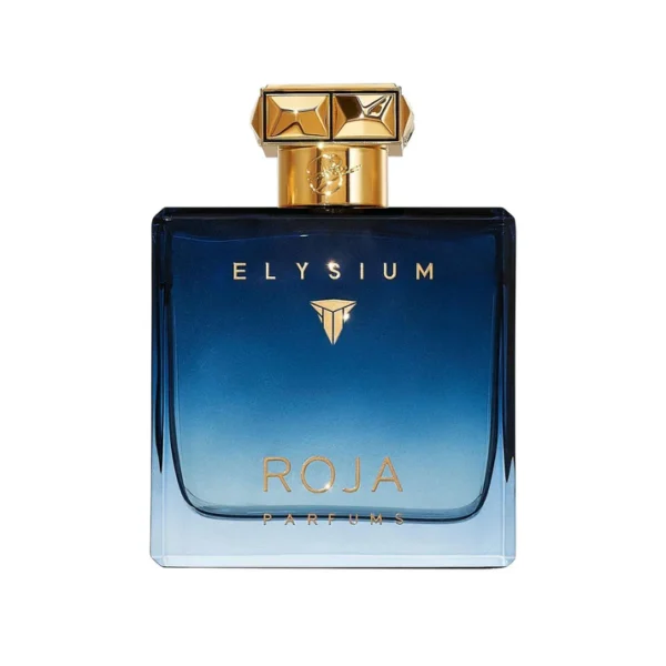 Elysium Pour Homme Perfume For Men -  100ml - Image 2